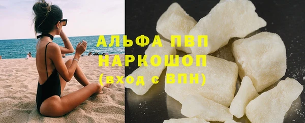 шишки Осинники
