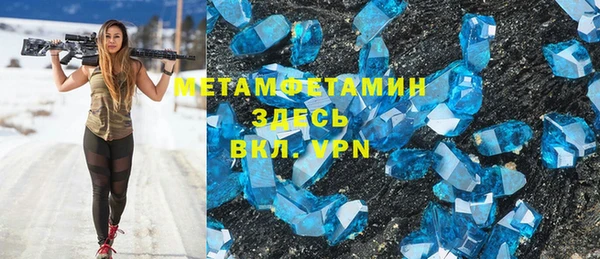 прущие грибы Осташков