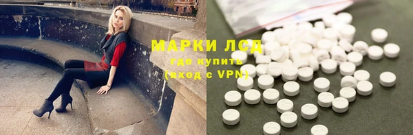 прущие грибы Осташков