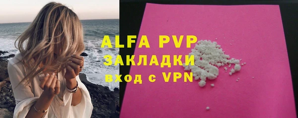 прущие грибы Осташков