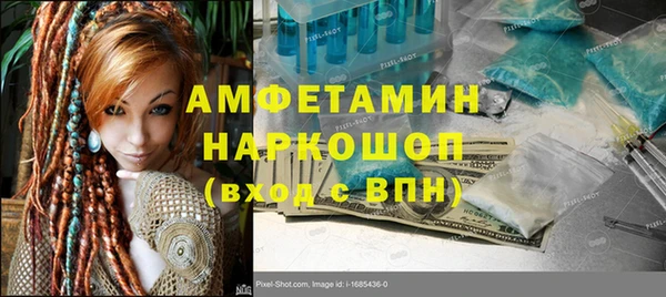 шишки Осинники