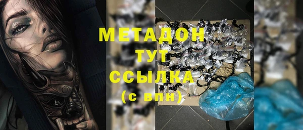 прущие грибы Абаза