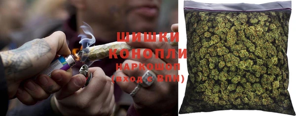 шишки Болотное